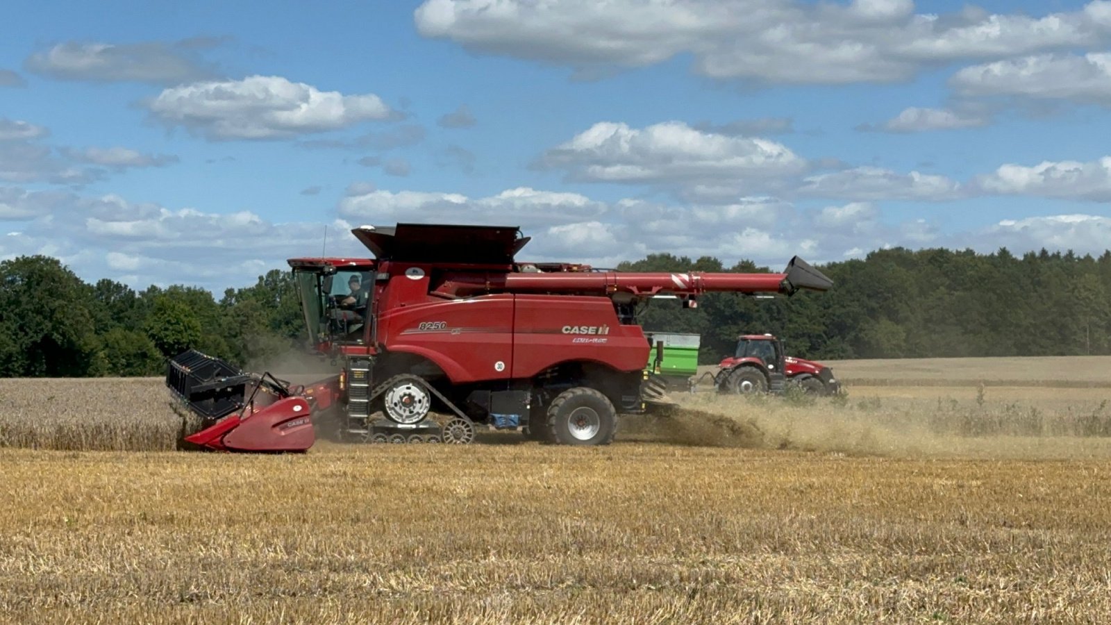 Mähdrescher tip Case IH 8250 AXIAL-FLOW, Gebrauchtmaschine in Klempau (Poză 3)