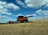 Mähdrescher типа Case IH 8250 AXIAL-FLOW, Gebrauchtmaschine в Klempau (Фотография 4)