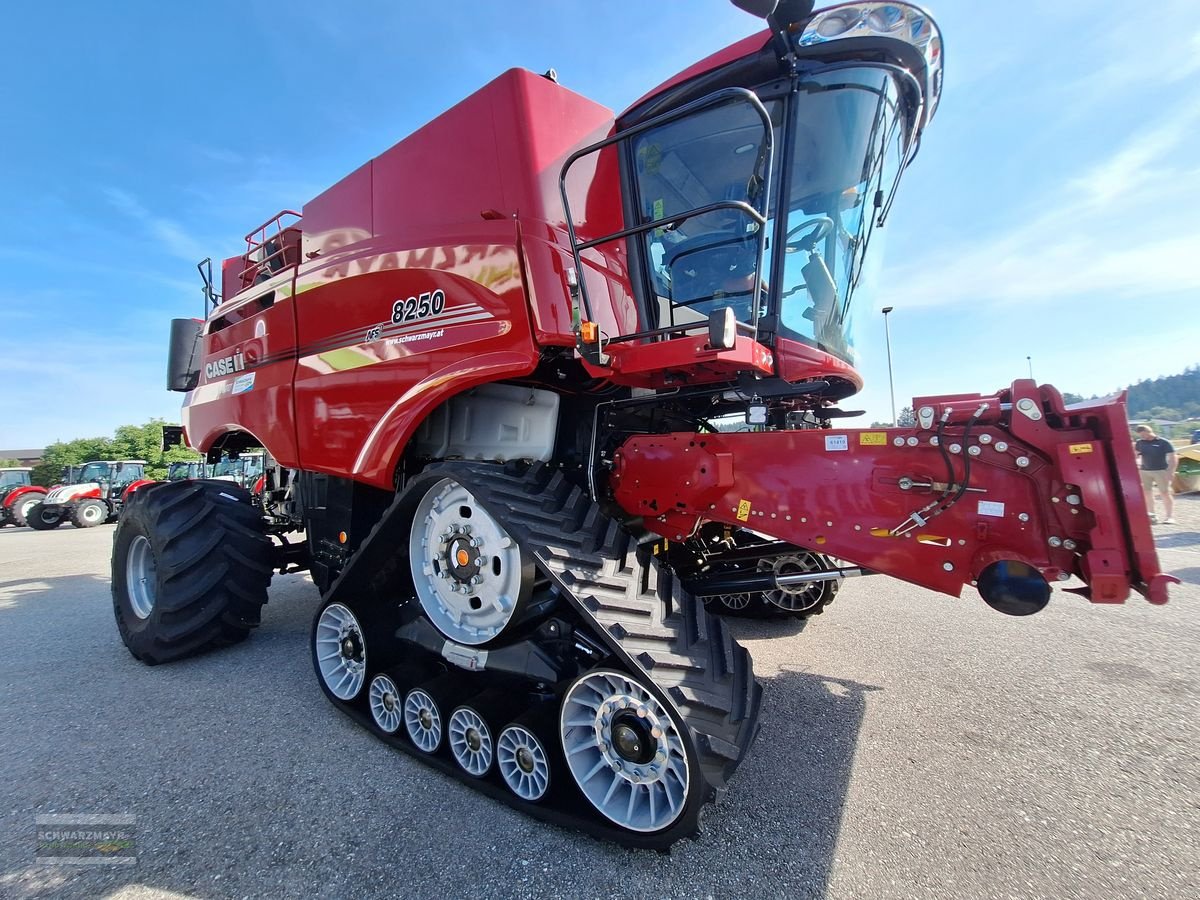 Mähdrescher des Typs Case IH 8250 Axial Flow, Mietmaschine in Gampern (Bild 4)