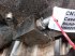 Mähdrescher del tipo Case IH 9010 AF, Gebrauchtmaschine In Hemmet (Immagine 23)