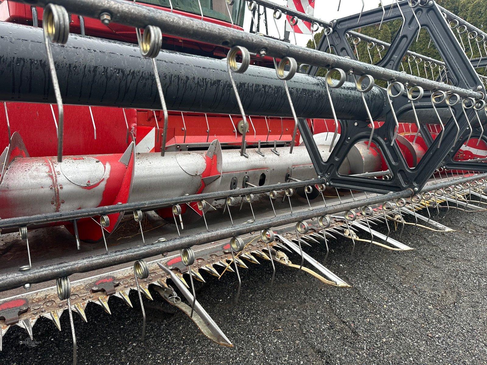 Mähdrescher типа Case IH AF 6088 mit Schneidwerk 7,30 m, Gebrauchtmaschine в Rankweil (Фотография 10)