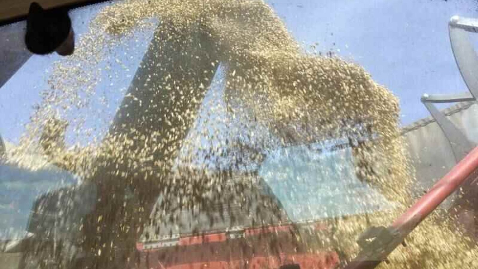 Mähdrescher typu Case IH AF10 Mejetærsker, Gebrauchtmaschine w Spøttrup (Zdjęcie 5)