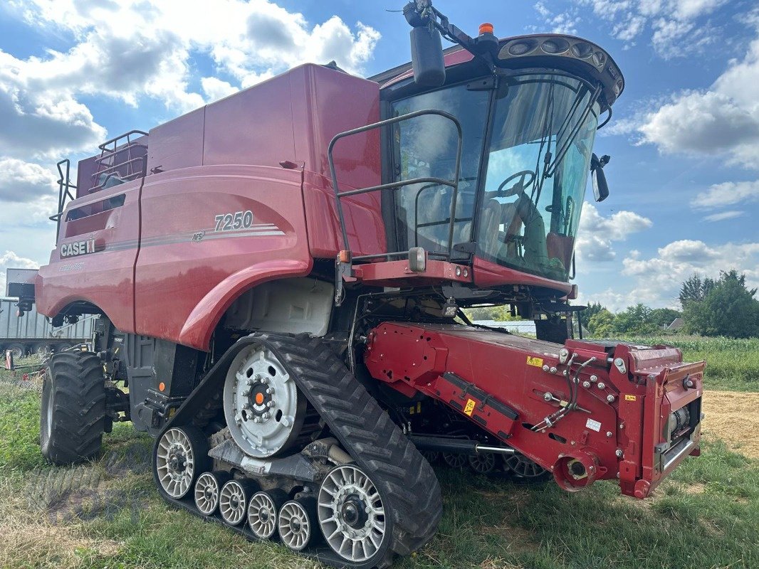 Mähdrescher Türe ait Case IH Axial  7250   Raupe   Allrad    Neuwertig, Gebrauchtmaschine içinde Schutterzell (resim 17)