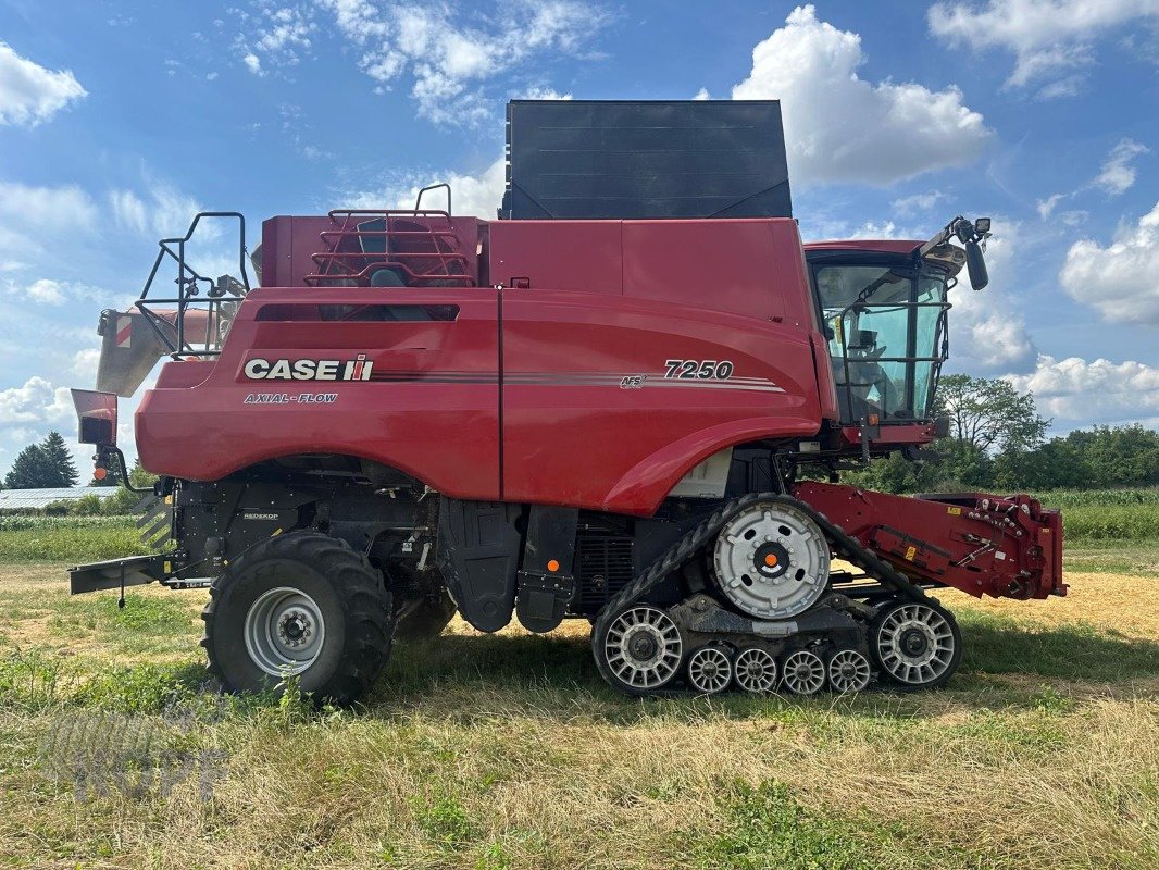 Mähdrescher Türe ait Case IH Axial  7250   Raupe   Allrad    Neuwertig, Gebrauchtmaschine içinde Schutterzell (resim 16)