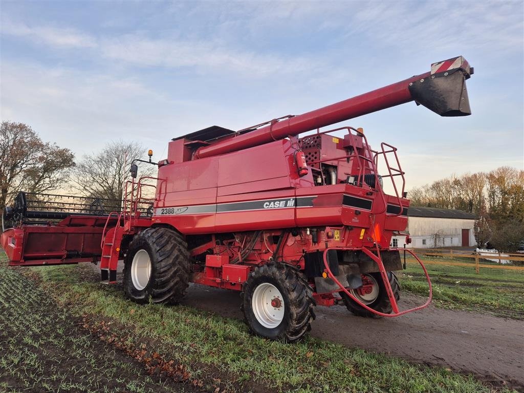 Mähdrescher of the type Case IH Axial-Flow 2388 X-Clusive, Gebrauchtmaschine in Spøttrup (Picture 10)