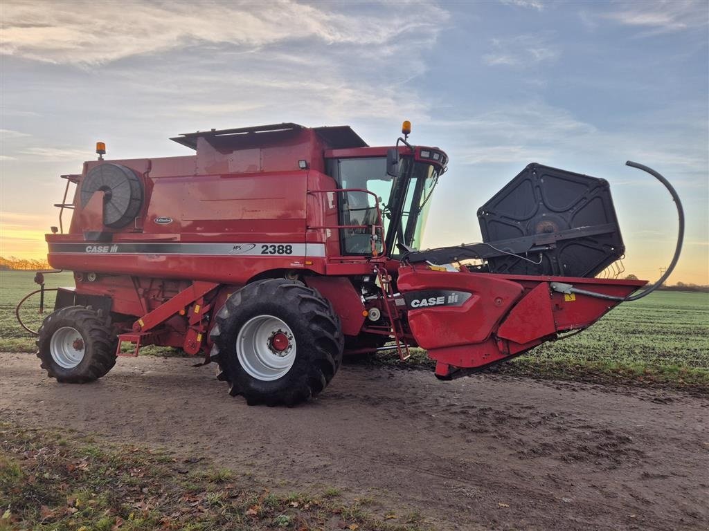 Mähdrescher of the type Case IH Axial-Flow 2388 X-Clusive, Gebrauchtmaschine in Spøttrup (Picture 1)