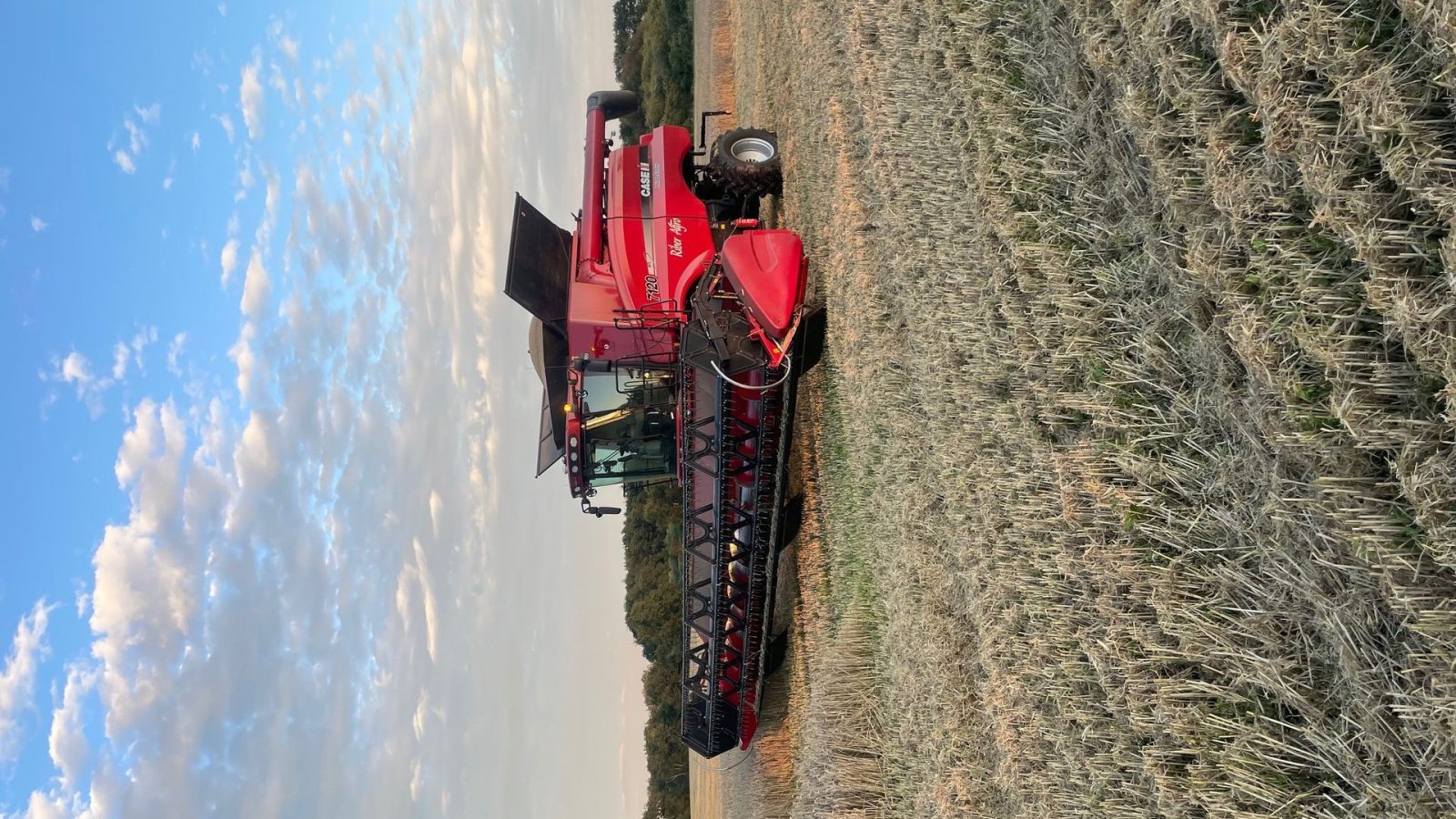 Mähdrescher typu Case IH Axial Flow 7120, Gebrauchtmaschine v Varde (Obrázek 6)