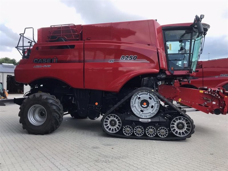 Mähdrescher of the type Case IH AXIAL-FLOW 8250 Bælter tracks 4WD, Gebrauchtmaschine in Aalborg SV (Picture 1)