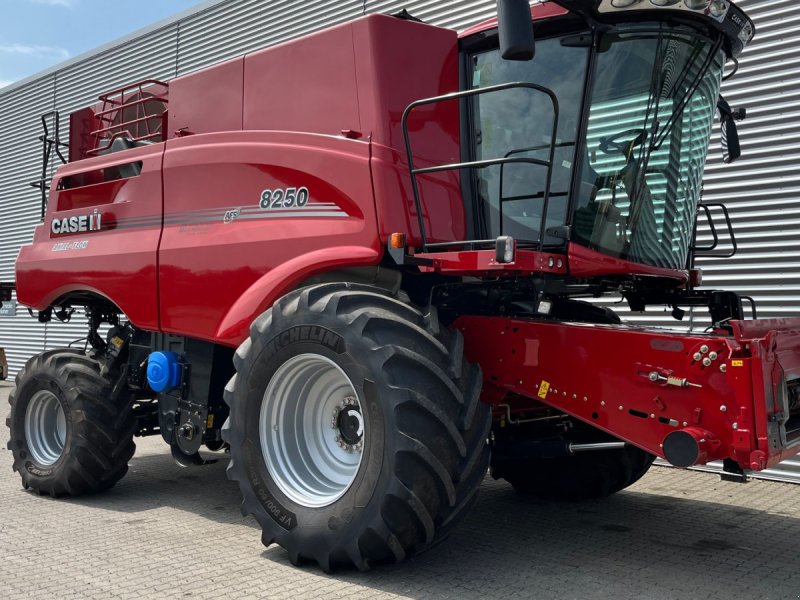 Mähdrescher of the type Case IH AXIAL-FLOW 8250 Med Harvest Command, kun 570 tærsketimer, Gebrauchtmaschine in Horsens (Picture 1)