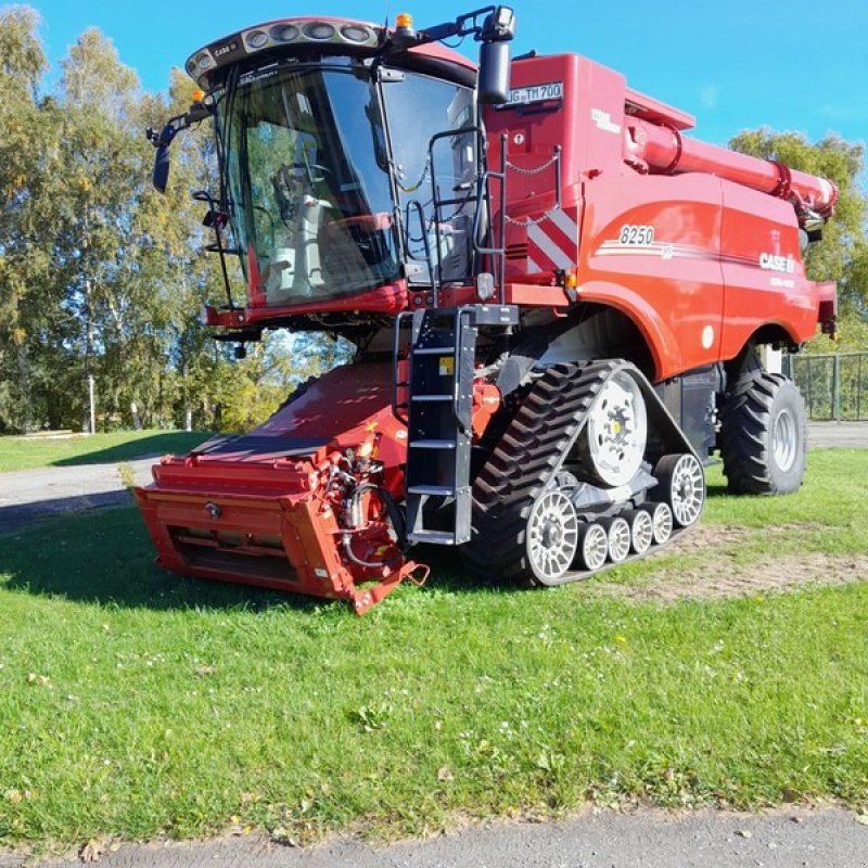 Mähdrescher del tipo Case IH Axial Flow 8250 ST5 P, Neumaschine In Gingst / Rügen (Immagine 1)