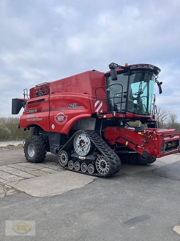 Mähdrescher del tipo Case IH Axial-Flow 8250 ST5, Vorführmaschine In Mühlhausen-Görmar (Immagine 2)