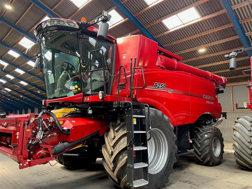 Mähdrescher of the type Case IH AXIAL-FLOW 8250, Gebrauchtmaschine in Aalborg SV (Picture 1)