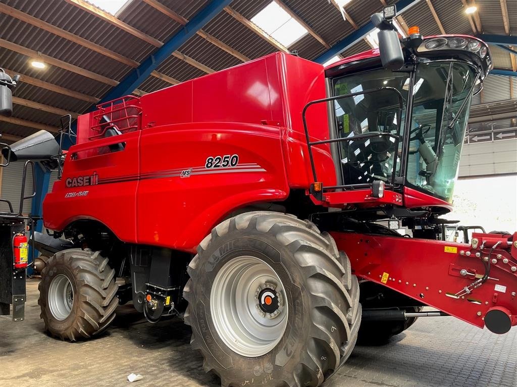 Mähdrescher of the type Case IH AXIAL-FLOW 8250, Gebrauchtmaschine in Aalborg SV (Picture 2)