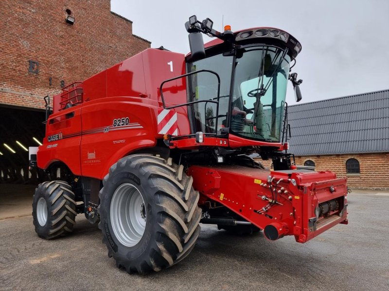 Mähdrescher of the type Case IH AXIAL-FLOW 8250, Gebrauchtmaschine in Viborg (Picture 1)