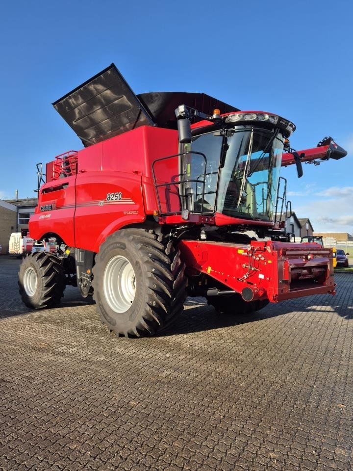 Mähdrescher del tipo Case IH AXIAL-FLOW 8250, Gebrauchtmaschine In Viborg (Immagine 1)