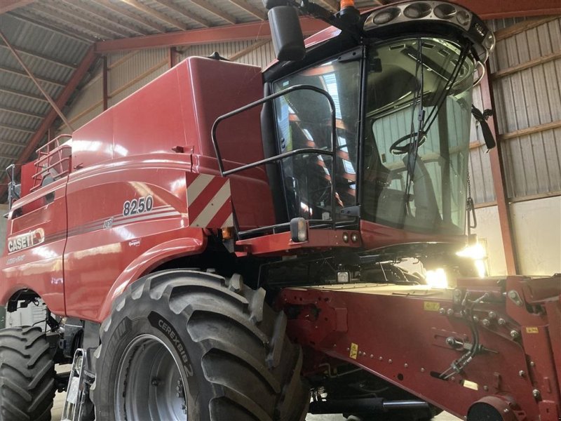 Mähdrescher of the type Case IH AXIAL-FLOW 8250, Gebrauchtmaschine in Roskilde (Picture 1)