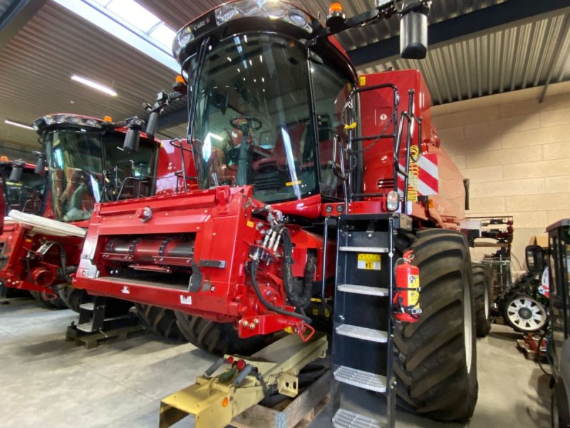 Mähdrescher of the type Case IH Axial Flow 8260 Axial-Flow 8260 (Demo maskine), Gebrauchtmaschine in Horsens (Picture 1)