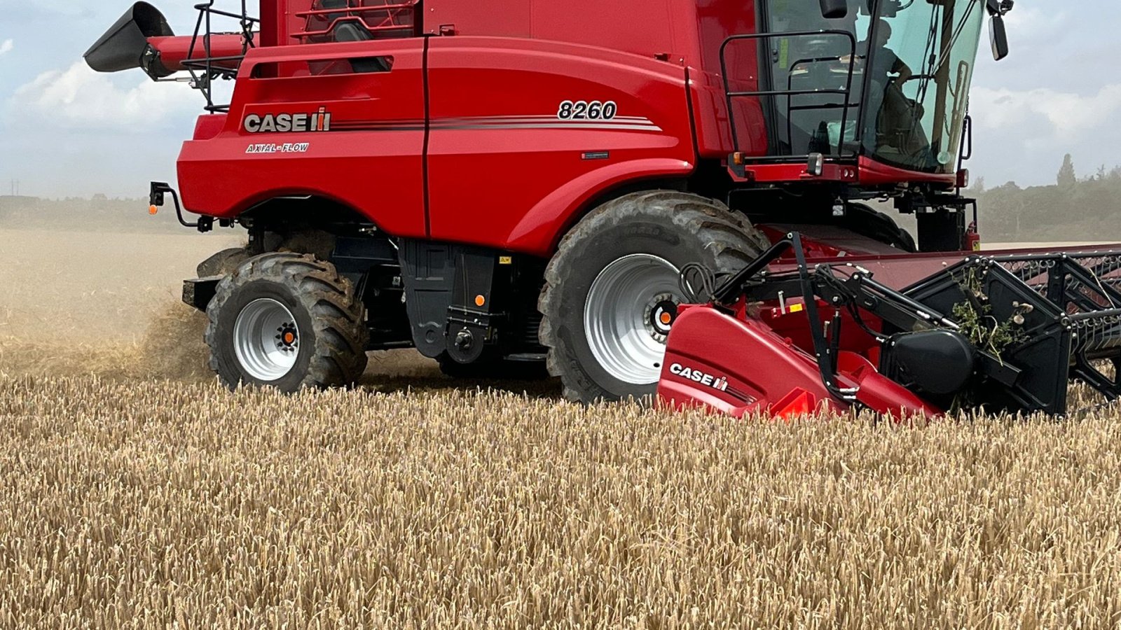Mähdrescher of the type Case IH Axial Flow 8260, Gebrauchtmaschine in Glamsbjerg (Picture 3)
