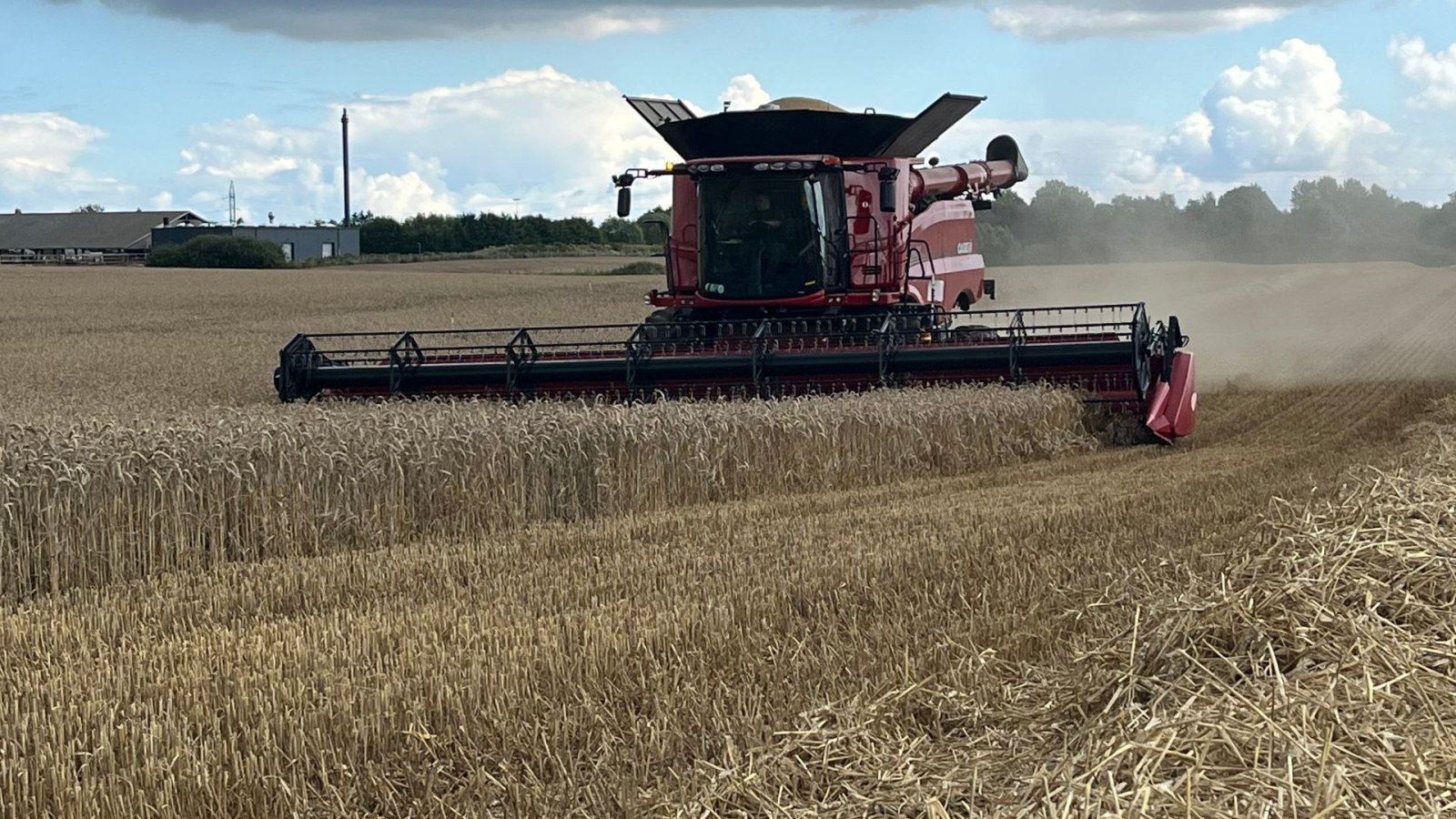 Mähdrescher of the type Case IH Axial Flow 8260, Gebrauchtmaschine in Glamsbjerg (Picture 1)