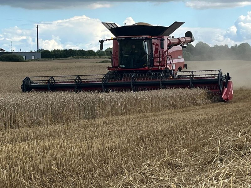 Mähdrescher of the type Case IH Axial Flow 8260, Gebrauchtmaschine in Glamsbjerg (Picture 1)