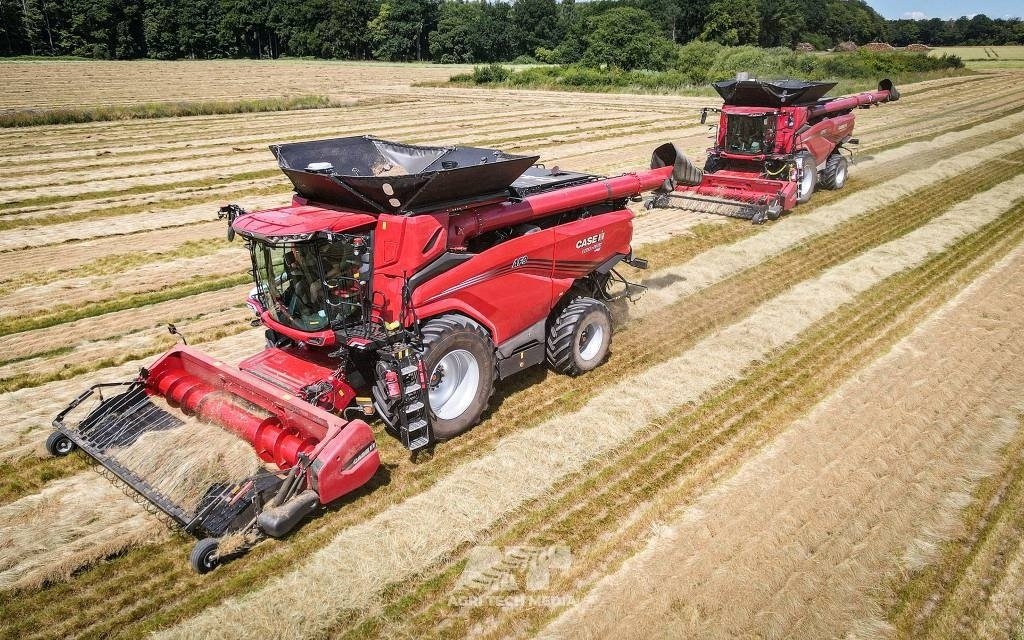Mähdrescher Türe ait Case IH Axial Flow AF10, Gebrauchtmaschine içinde Vrå, Frejlev, Hornslet & Ringsted (resim 3)