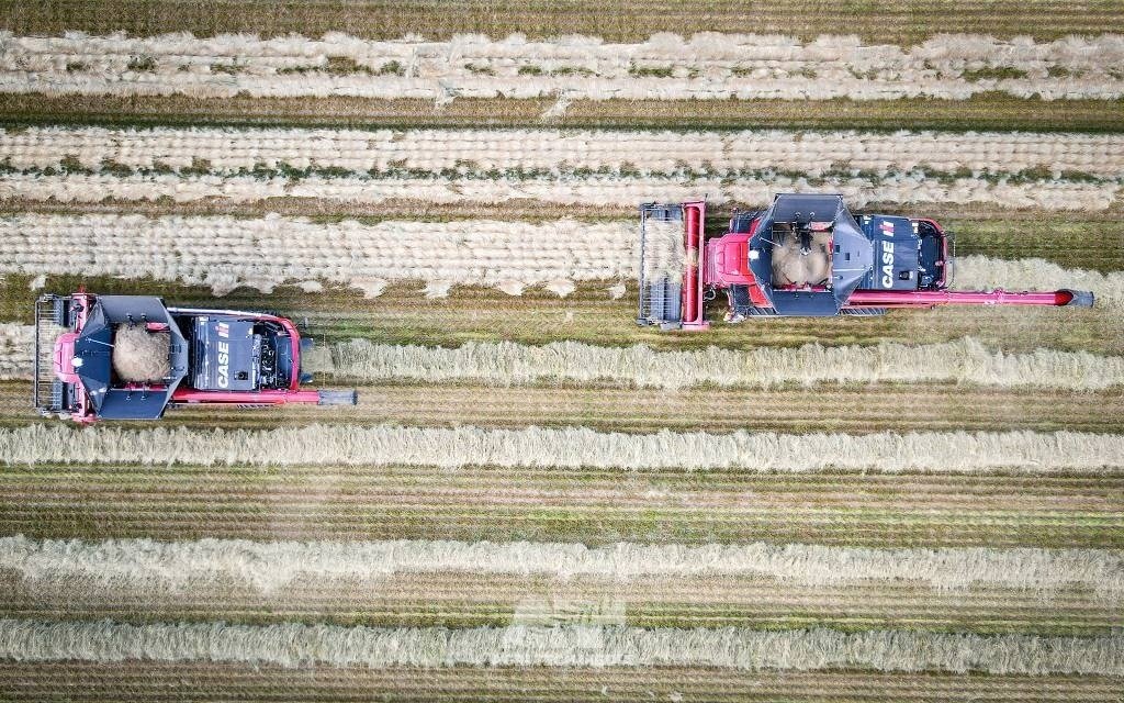 Mähdrescher Türe ait Case IH Axial Flow AF10, Gebrauchtmaschine içinde Vrå, Frejlev, Hornslet & Ringsted (resim 2)