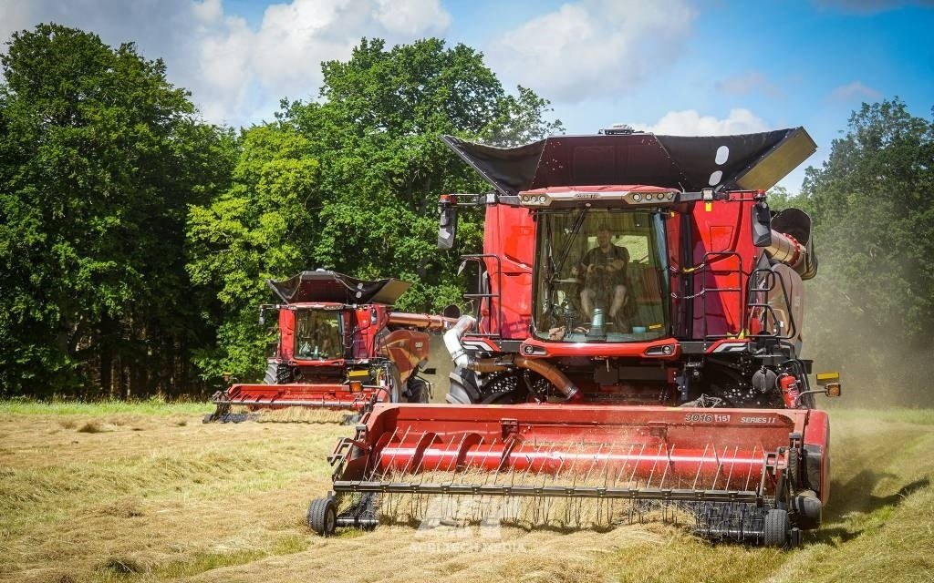 Mähdrescher Türe ait Case IH Axial Flow AF10, Gebrauchtmaschine içinde Vrå, Frejlev, Hornslet & Ringsted (resim 4)