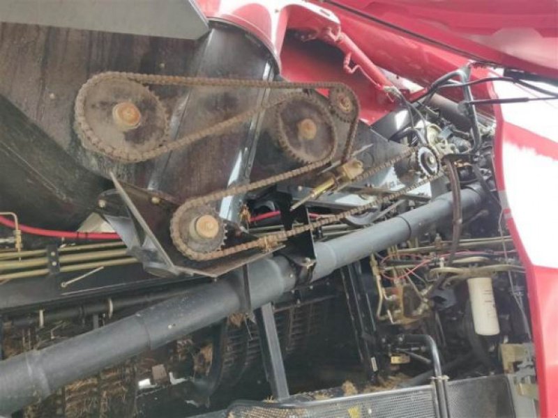 Mähdrescher of the type Case 8010, Gebrauchtmaschine in Hemmet (Picture 3)