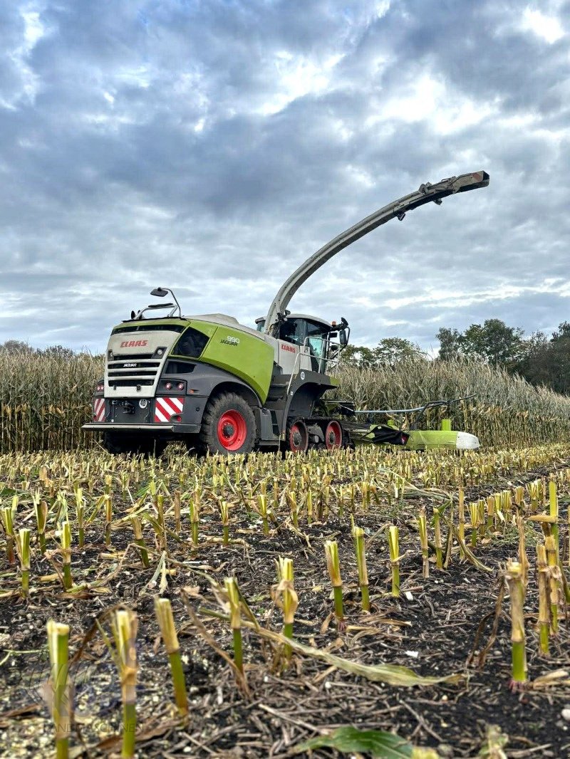 Mähdrescher tipa CLAAS Claas Jaguar 990 TT Allrad, MAN Motor 774 eff. Std. 3955ha, Gebrauchtmaschine u Schutterzell (Slika 2)