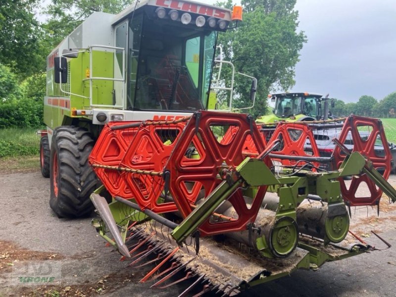 Mähdrescher of the type CLAAS Dominator 218 Mega, Gebrauchtmaschine in Spelle (Picture 13)