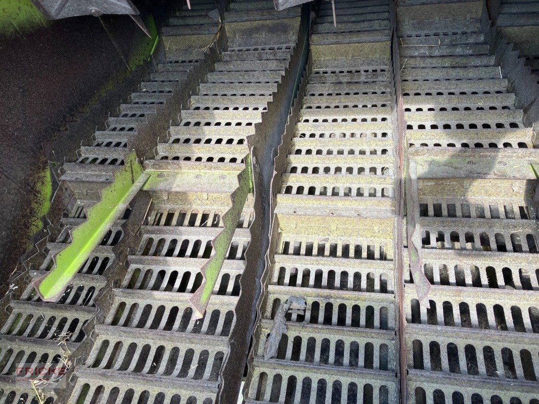 Mähdrescher of the type CLAAS Dominator 98 S, Gebrauchtmaschine in Bockel - Gyhum (Picture 11)