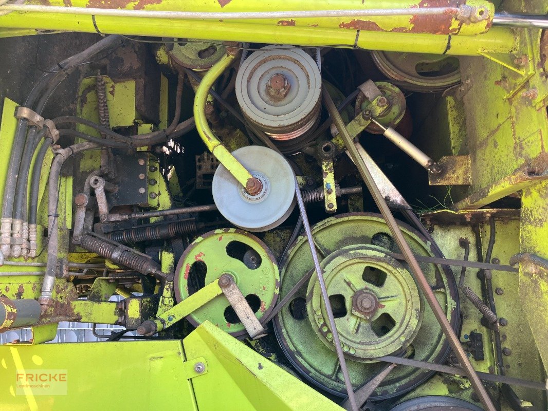 Mähdrescher of the type CLAAS Dominator 98 S, Gebrauchtmaschine in Bockel - Gyhum (Picture 16)