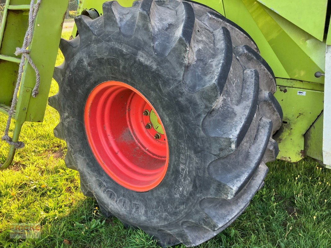 Mähdrescher of the type CLAAS Dominator 98 S, Gebrauchtmaschine in Bockel - Gyhum (Picture 5)