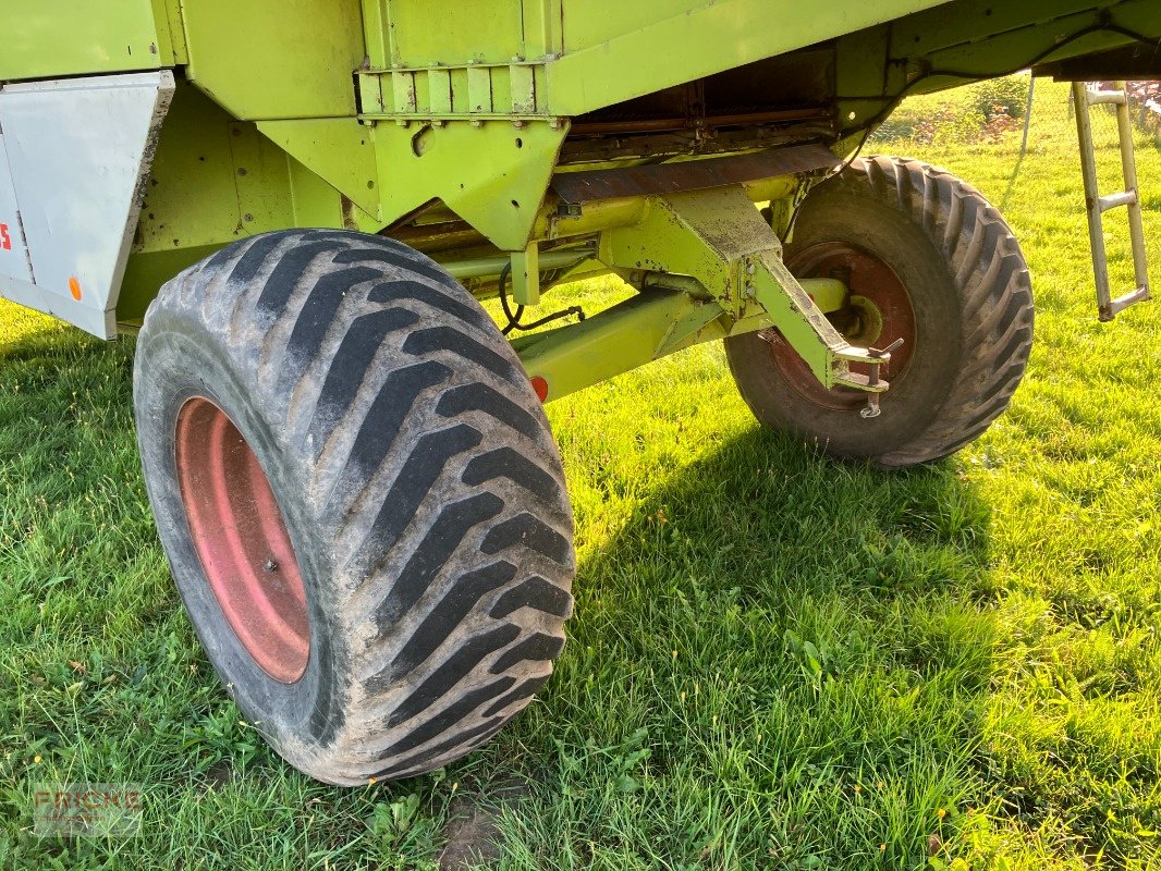 Mähdrescher of the type CLAAS Dominator 98 S, Gebrauchtmaschine in Bockel - Gyhum (Picture 7)