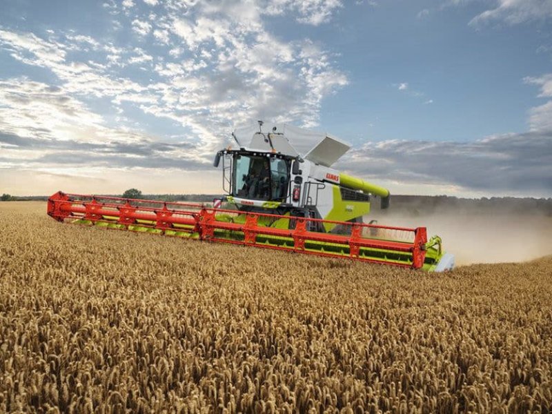 CLAAS GEBR MÄHDRESCHER LEXION 770 TT, Gebrauchtmaschine, Година на производство: 2016 (Снимка 1) Mähdrescher от тип CLAAS GEBR MÄHDRESCHER LEXION 770 TT, Gebrauchtmaschine в Grimma (Снимка 1)