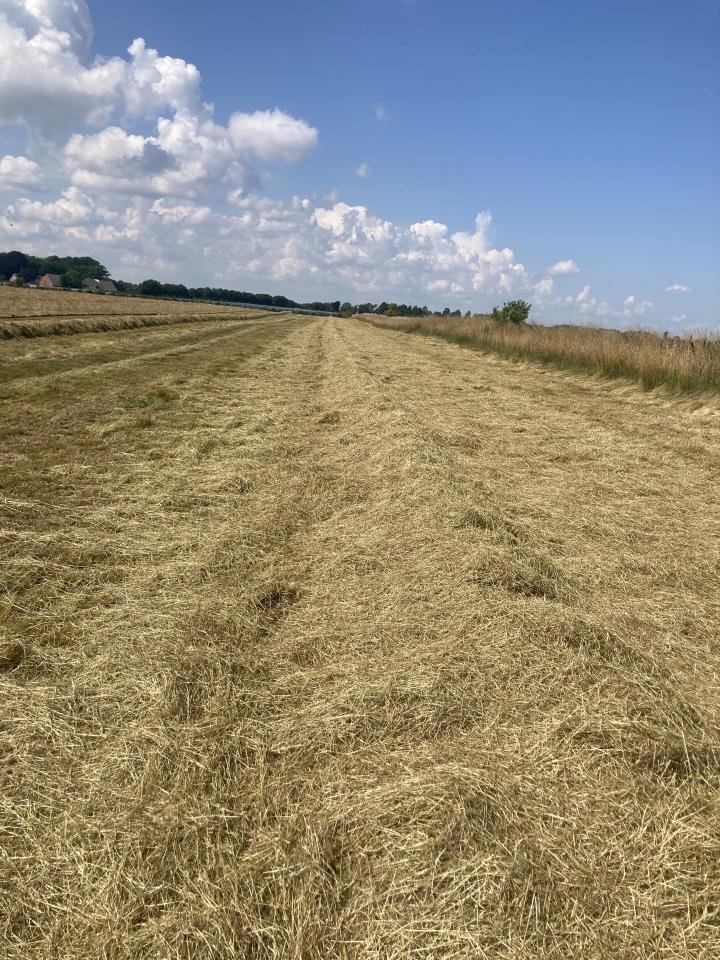 Mähdrescher типа CLAAS HALMSPREDER, Gebrauchtmaschine в Tim (Фотография 4)