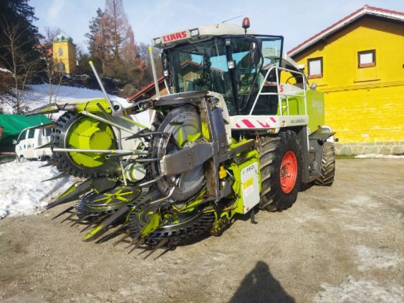 Mähdrescher des Typs CLAAS JAGUAR 900+ RU 4500, Gebrauchtmaschine in Naklo (Bild 1)