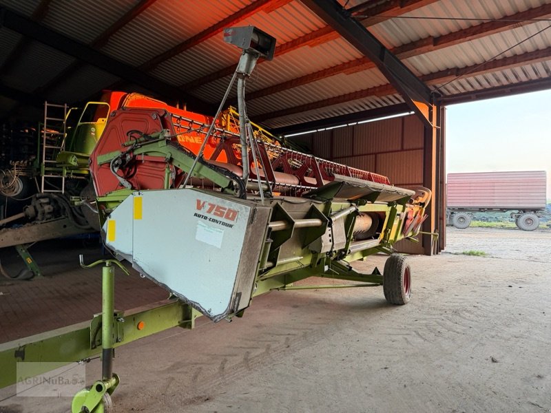 Mähdrescher of the type CLAAS Lexion 480, Gebrauchtmaschine in Prenzlau (Picture 15)