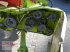 Mähdrescher del tipo CLAAS Lexion 540 C, Gebrauchtmaschine In Dorfen (Immagine 27)