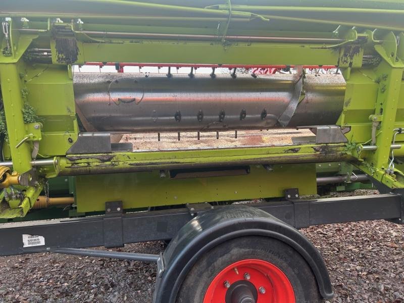 Mähdrescher of the type CLAAS LEXION 5400, Gebrauchtmaschine in Landsberg (Picture 11)