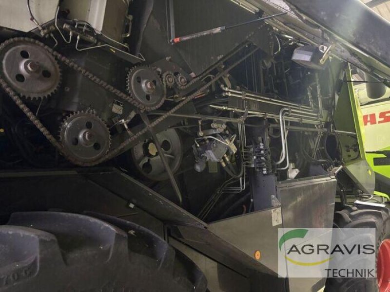 Mähdrescher of the type CLAAS LEXION 550, Gebrauchtmaschine in Olfen  (Picture 13)