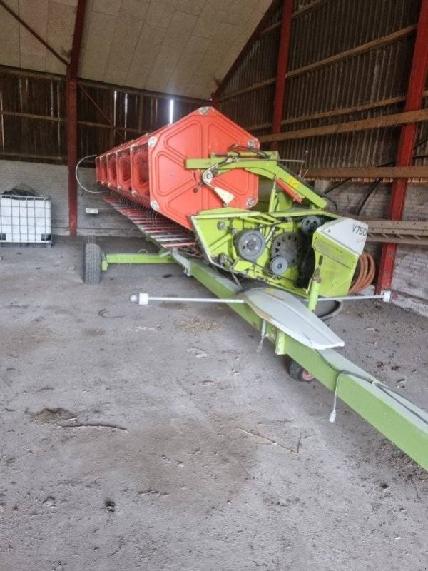 Mähdrescher des Typs CLAAS Lexion 560, Gebrauchtmaschine in Ringe (Bild 3)