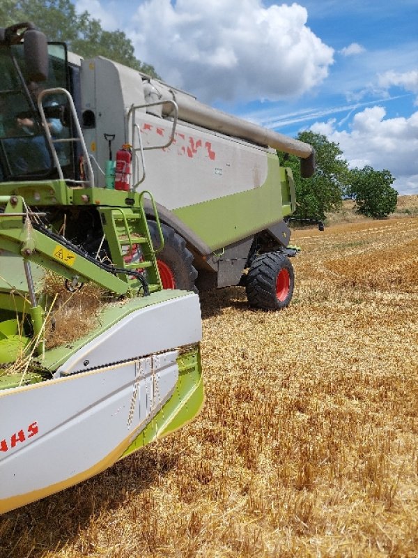 Mähdrescher del tipo CLAAS LEXION 570, Gebrauchtmaschine en VERT TOULON (Imagen 2)