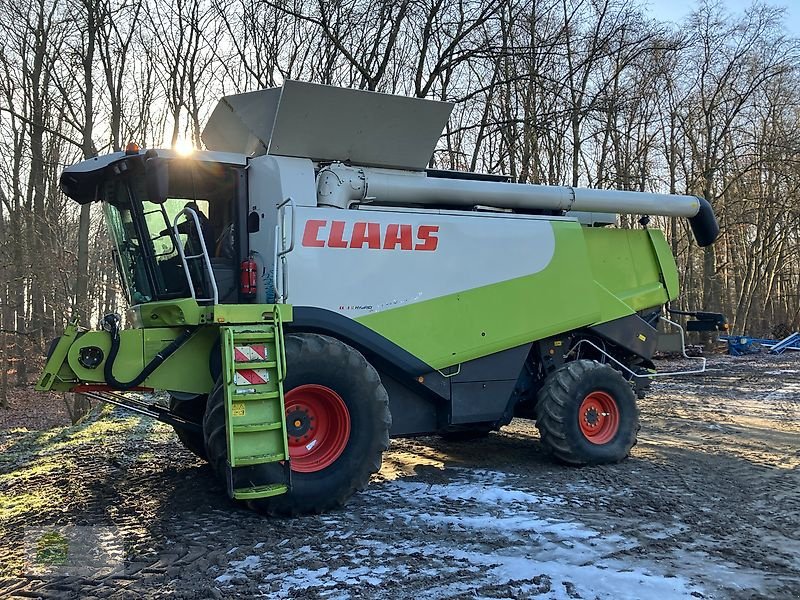 Mähdrescher του τύπου CLAAS Lexion 600, Gebrauchtmaschine σε Salsitz
