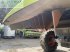 Mähdrescher tipa CLAAS lexion 650, Gebrauchtmaschine u SZEGED (Slika 13)