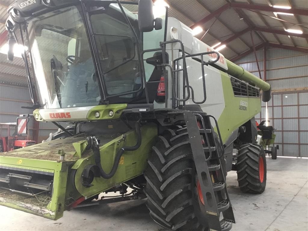 Mähdrescher des Typs CLAAS LEXION 6600 frøtømmeudstyr - Vario 770, Gebrauchtmaschine in Mern (Bild 1)