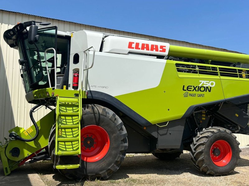 Mähdrescher des Typs CLAAS LEXION 750 Kun 900 timer. GPS., Gebrauchtmaschine in Kolding (Bild 1)