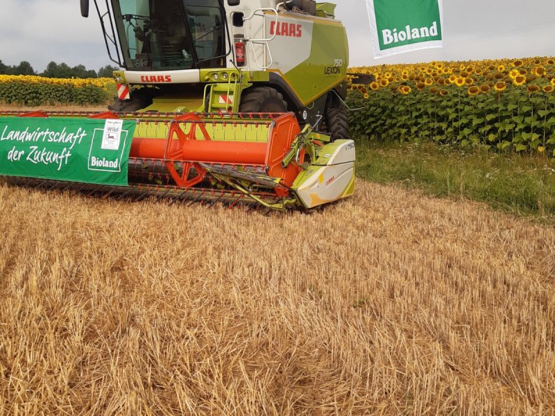 Mähdrescher des Typs CLAAS Lexion 750 Montana, Gebrauchtmaschine in Erlenbach (Bild 1)