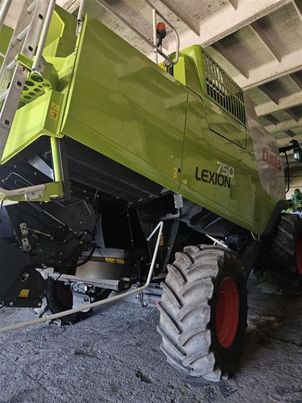 Mähdrescher del tipo CLAAS LEXION 750 VI GIVER 50 TIMERS HØSTGARANTI I DK!!! Kun 850 Høsttimer. Incl CLAAS Vario 750 Skærebord og vogn., Gebrauchtmaschine In Kolding (Immagine 3)
