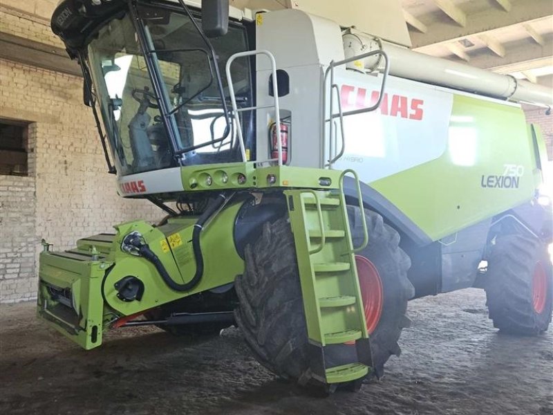 Mähdrescher des Typs CLAAS LEXION 750 VI GIVER 50 TIMERS HØSTGARANTI I DK!!! Kun 850 Høsttimer. Incl CLAAS Vario 750 Skærebord og vogn., Gebrauchtmaschine in Kolding (Bild 1)
